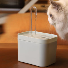 Katzen Wasserbrunnen mit automatischem Wasserfilter