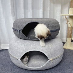 Katzen Donut Tunnel