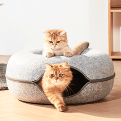 Katzen Donut Tunnel