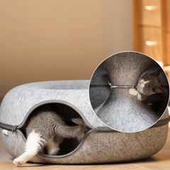 Katzen Donut Tunnel