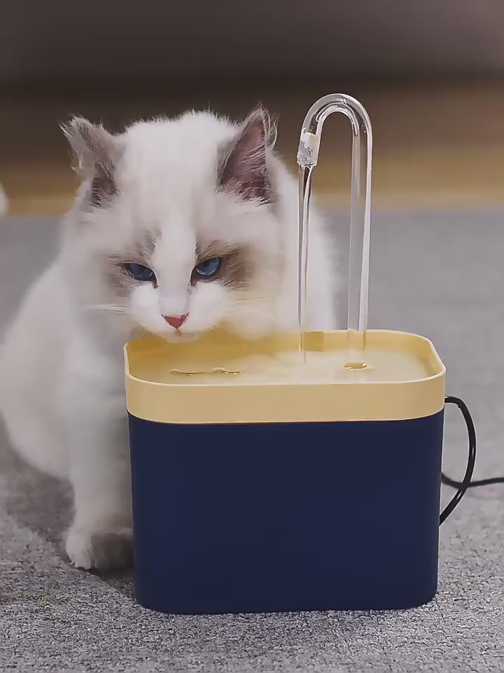 Katzen Wasserbrunnen mit automatischem Wasserfilter